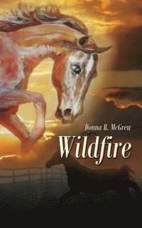 bokomslag Wildfire