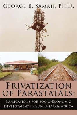 bokomslag Privatization of Parastatals