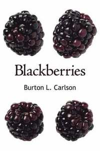bokomslag Blackberries
