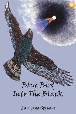 Blue Bird Into The Black 1