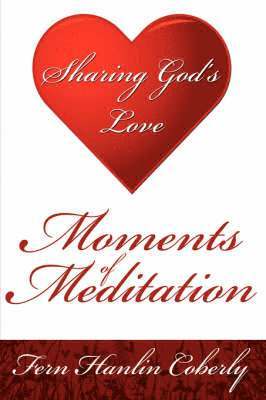 bokomslag Moments Of Meditation
