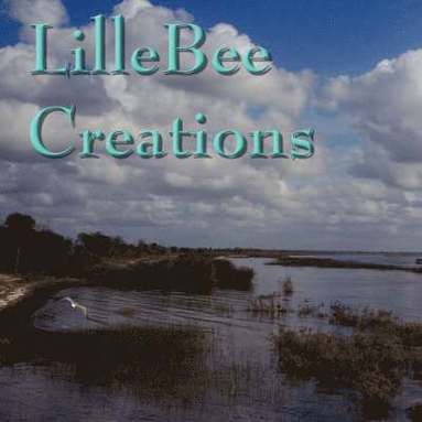 bokomslag LillyBee Creations