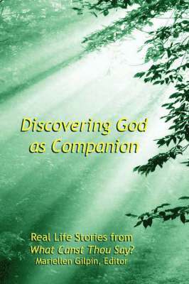 bokomslag Discovering God As Companion