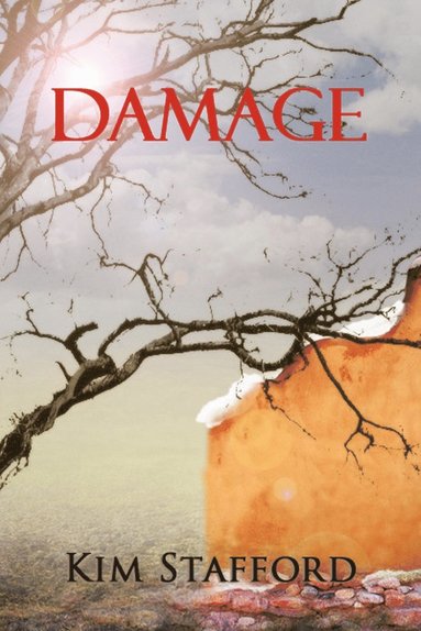 bokomslag Damage