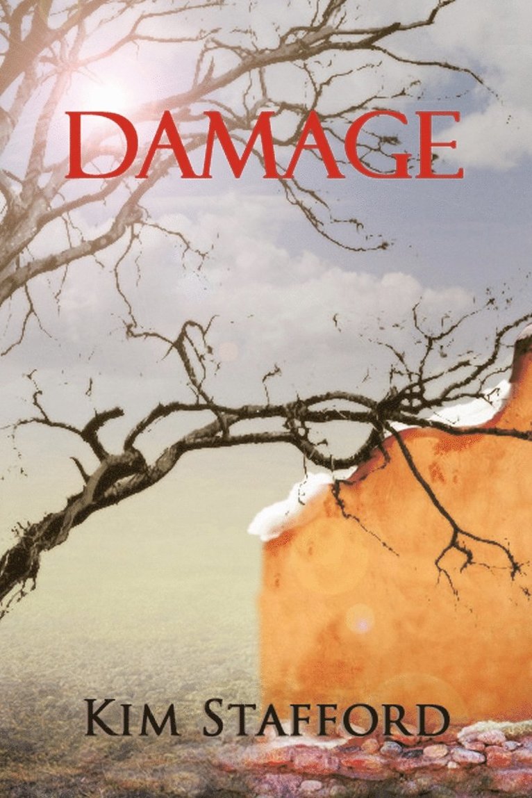 Damage 1