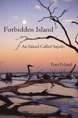 Forbidden Island 1