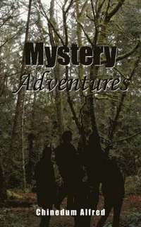 bokomslag Mystery Adventures