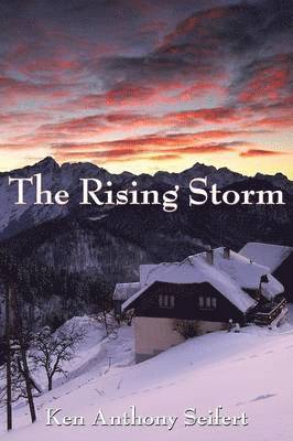 bokomslag Rising Storm