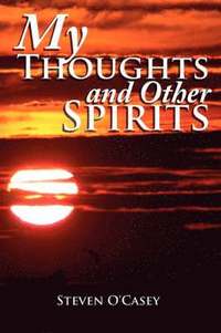 bokomslag My Thoughts and Other Spirits