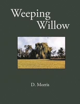 Weeping Williow 1