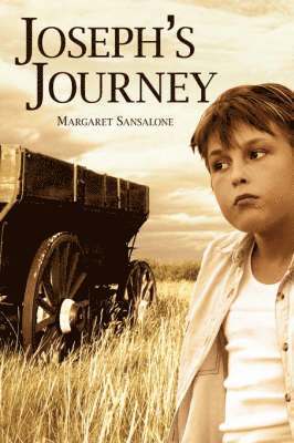 bokomslag Joseph's Journey