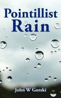 bokomslag Pointillist Rain