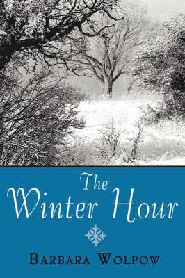 bokomslag Winter Hour