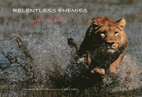 Relentless Enemies