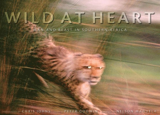 Wild at Heart