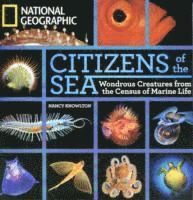 bokomslag Citizens of the Sea
