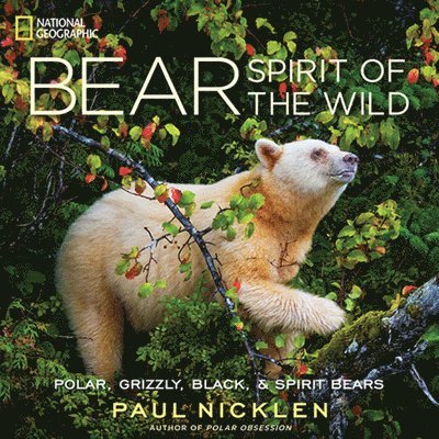 Paul Nicklen - Bear, Inbunden