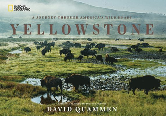 David Quammen - Yellowstone, Inbunden