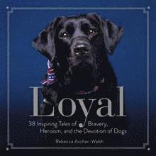 Rebecca Ascher-Walsh - Loyal, Inbunden
