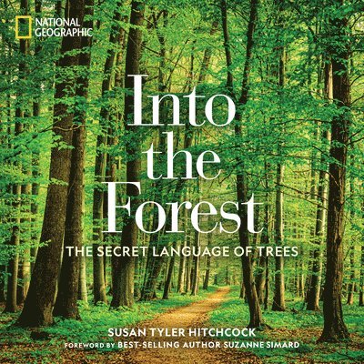 Susan Tyler Hitchcock - Into the Forest, Inbunden