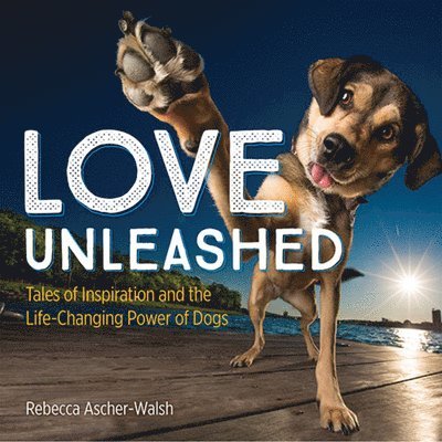 Rebecca Ascher-Walsh - Love Unleashed, Inbunden