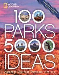 bokomslag 100 Parks, 5,000 Ideas