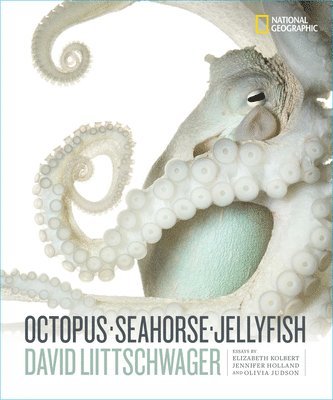 David Littschwager, David Liittschwager - Octopus, Seahorse, Jellyfish, Inbunden