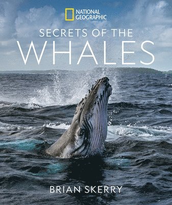 bokomslag Secrets of the Whales