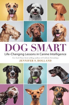 bokomslag Dog Smart