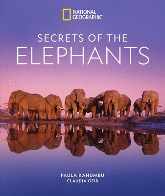 Secrets of the Elephants 1