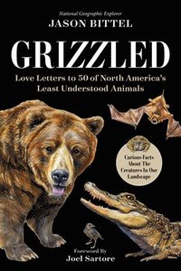 bokomslag Grizzled: Love Letters to 50 of North America's Least Understood Animals