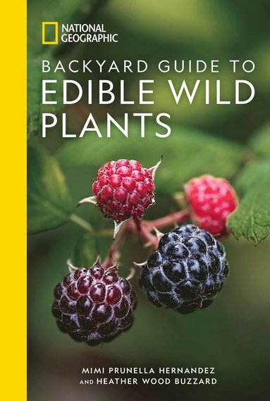 bokomslag National Geographic Backyard Guide to Edible Wild Plants