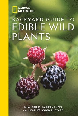 National Geographic Backyard Guide to Edible Wild Plants 1