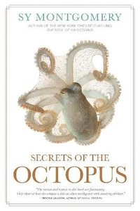 bokomslag Secrets of the Octopus