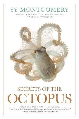 Secrets of the Octopus 1