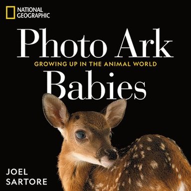 bokomslag National Geographic Photo Ark Babies