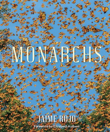 Jaime Rojo - Monarchs, Inbunden