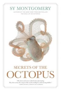 bokomslag Secrets of the Octopus