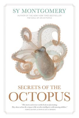 bokomslag Secrets of the Octopus
