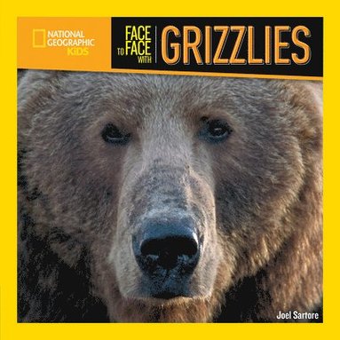 bokomslag Face to Face with Grizzlies