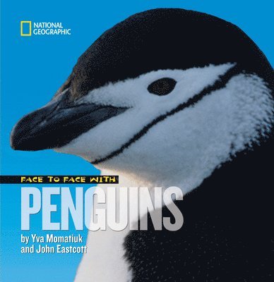 Face to Face with Penguins 1