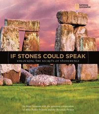 bokomslag If Stones Could Speak