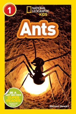 Melissa Stewart, National Geographic Kids - National Geographic Kids Readers: Ants, Häftad