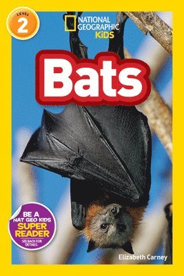 Elizabeth Carney, National Geographic Kids - Bats (National Geographic Kids Readers, Level 2), Häftad