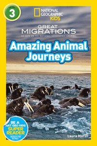 bokomslag National Geographic Kids Readers: Great Migrations Amazing Animal Journeys
