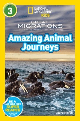 bokomslag National Geographic Kids Readers: Great Migrations Amazing Animal Journeys