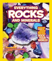bokomslag Everything Rocks and Minerals
