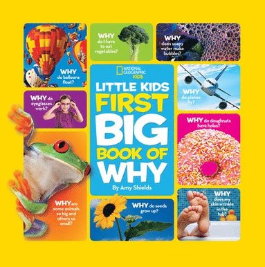 bokomslag National Geographic Little Kids First Big Book of Why