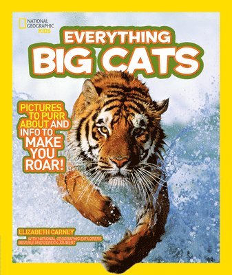 bokomslag Everything Big Cats