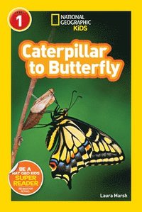 bokomslag National Geographic Kids Readers: Caterpillar to Butterfly